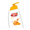 Lifebuoy Hand Wash Honey & Tumrc 450Ml