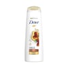 Dove Sh.Argan Oil Moisture 400Ml