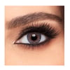 Freshlook One-day Colored Contact Lenses Gray