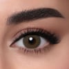 LENSME CONTACT LENSES PETROLEUM