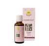 Flatam Plus Oral Drops 30 ml