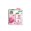 Dettol Shower Gel Skincare + Puf 250 ml