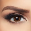 Layala Lenses - 2 Lenses - Sunkiss Brown