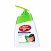 Lifebuoy Hand Wash Nature 200 ml