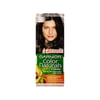 Garnier Hair Color Natural Black 1.0
