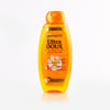 Garnier Ultra Doux Shampoo Argan With Camelia 200Ml