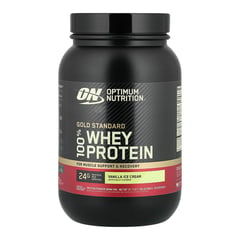 Optimum Nutrition Standard Whey Double Rich Chocolate 1 Lb