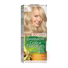 Garnier H/Color 10.1 Frosty Beige
