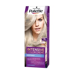 Palette Hair Color 10-1 Arctic Silver Blonde