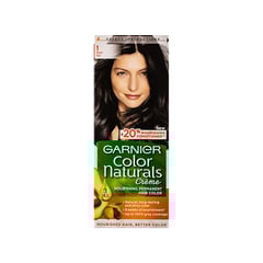 Garnier Hair Color Natural Black 1.0
