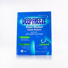 Deep Freeze Patch 1Pcs