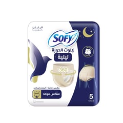 سوفي فوط ليلية بانتي 5 حبات
