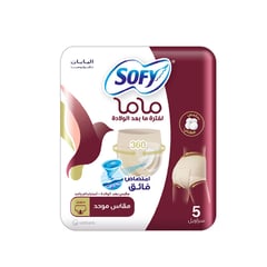 Sofy 53003 Mama Post Birth Panties (6X5)
سوفي فوط صحية بانتي للأم 5 قطع