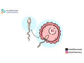 طريقة استخدام سياليس 20 ملغ