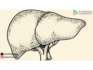 هل ارتفاع إنزيمات الكبد خطير؟ إليك الإجابة الطبية