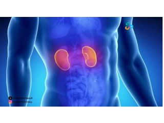 اعراض ارتفاع انزيمات الكلى