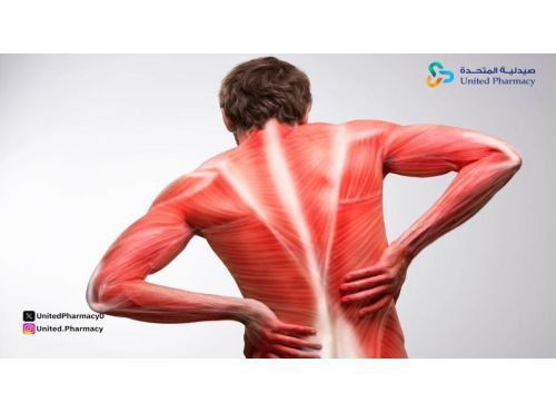 فوائد ألم العضلات بعد التمرين