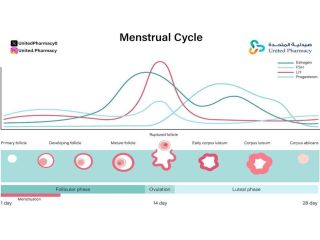 ماذا تشعر المرأة في فترة التبويض