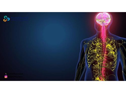 ما هو العصب الخامس والسابع