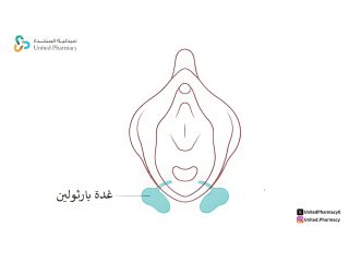 غدة بارثولين