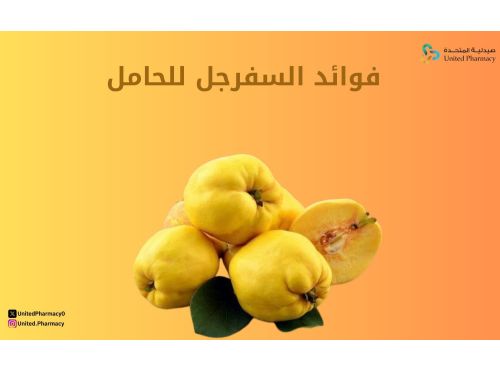 فوائد السفرجل للحامل 