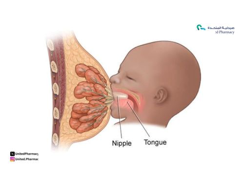 مشاكل الرضاعة الطبيعية الشائعة وحلولها للأم والطفل