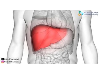 درجات تضخم الكبد 