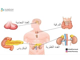 الغدد الصماء