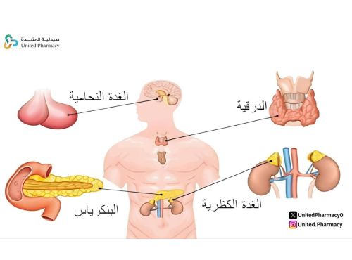 الغدد الصماء