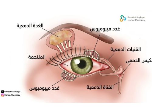  الغدد الدمعية