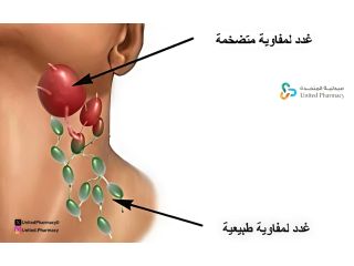 الغدة المفاوية