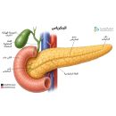 الغدد الدمعية