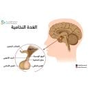 الغدة النخامية