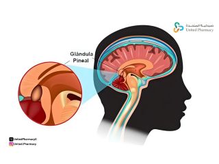 الغدة الصنوبرية