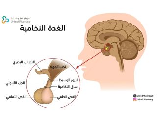 الغدة النخامية