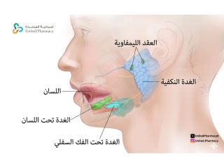 الغدد اللعابية