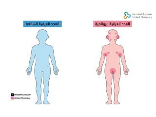 الغدد العرقية