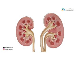 اعراض تضخم الكلى