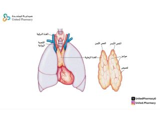 الغدة الزعترية