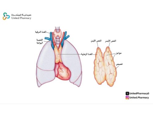 الغدة الزعترية