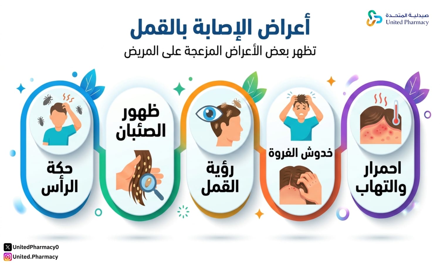 أعراض القمل عند الكبار