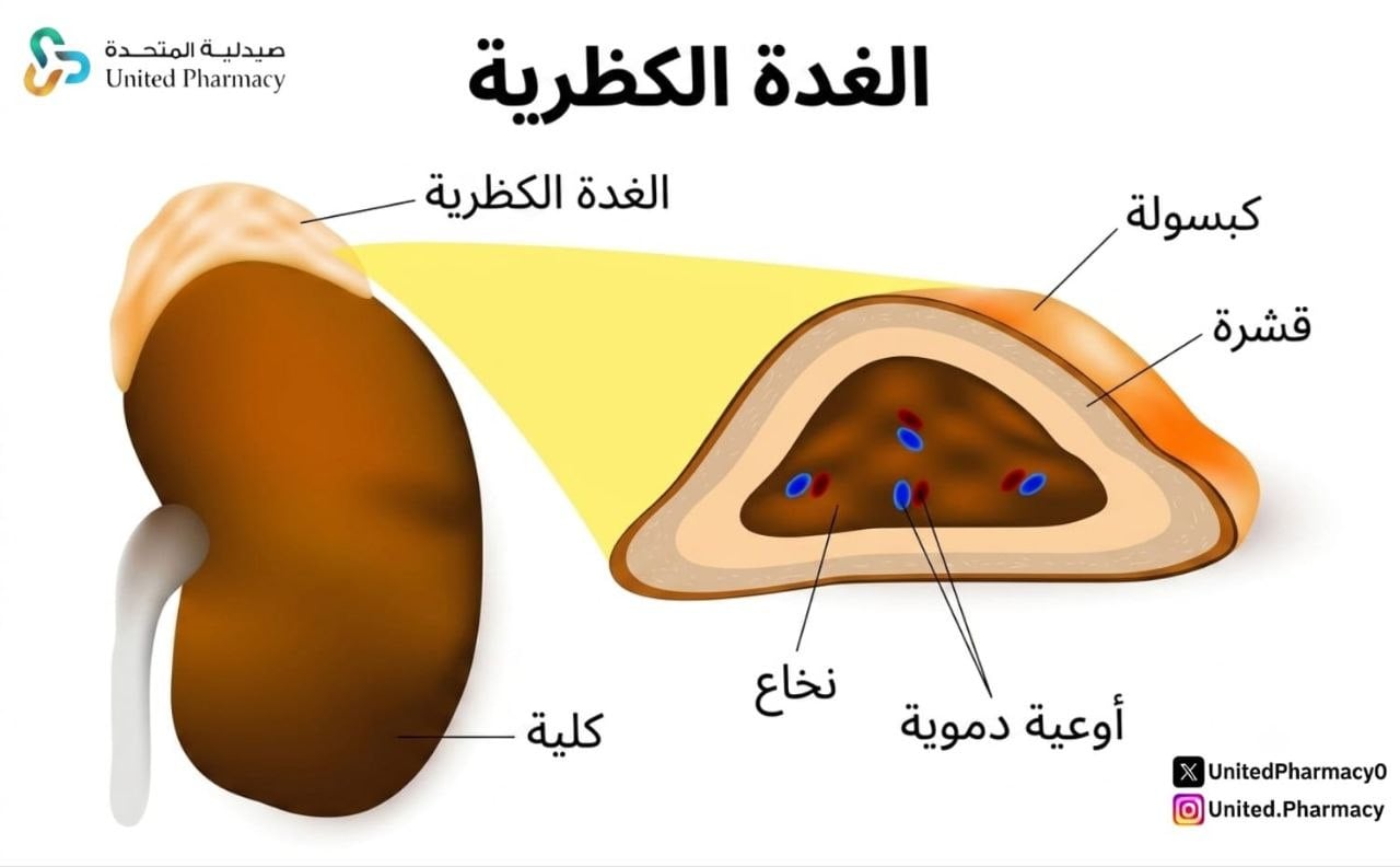 الغدة الكظرية واعراضها