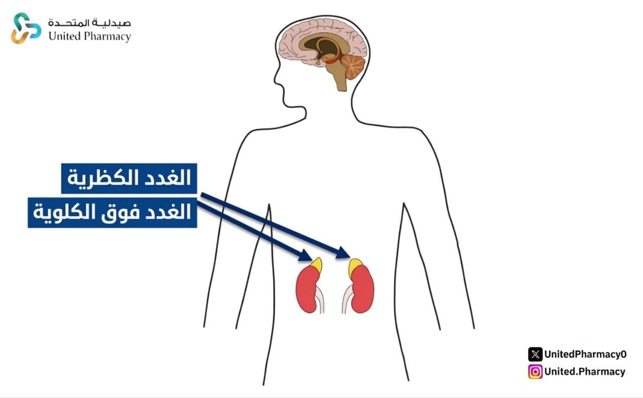تجربتي مع الغدة الكظرية