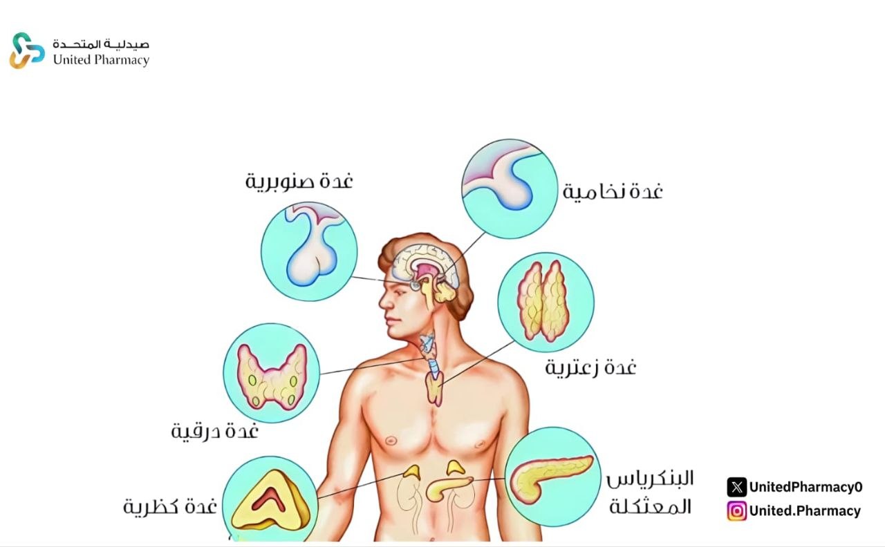 وظيفة الغدد الصماء