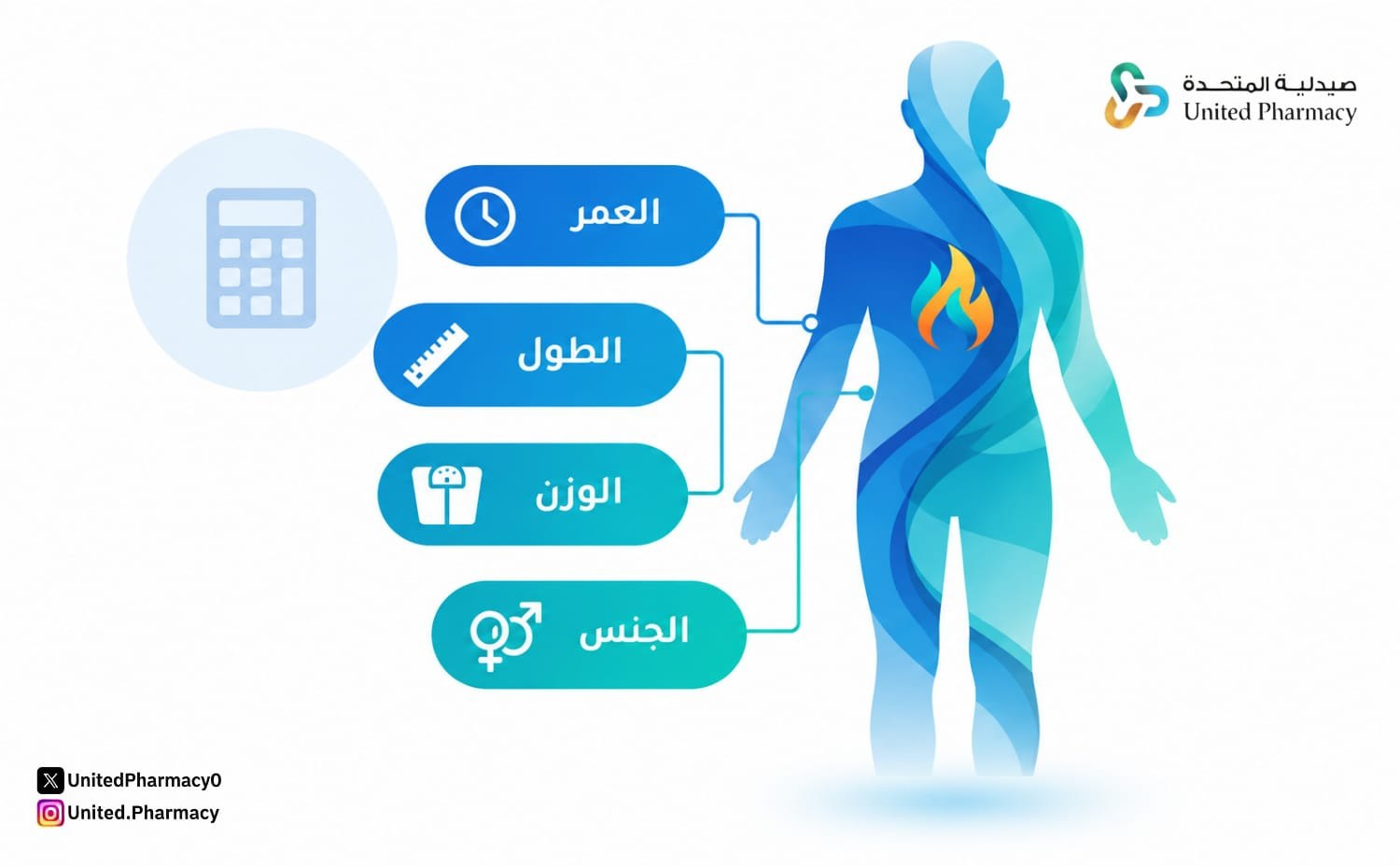 حساب معدل الأيض الأساسي