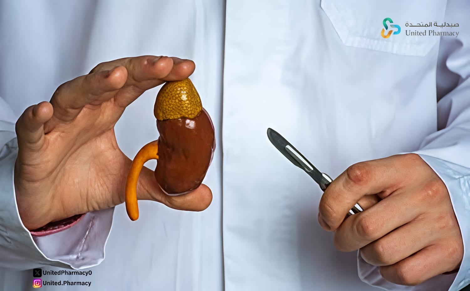 أسباب تضخم الكلى