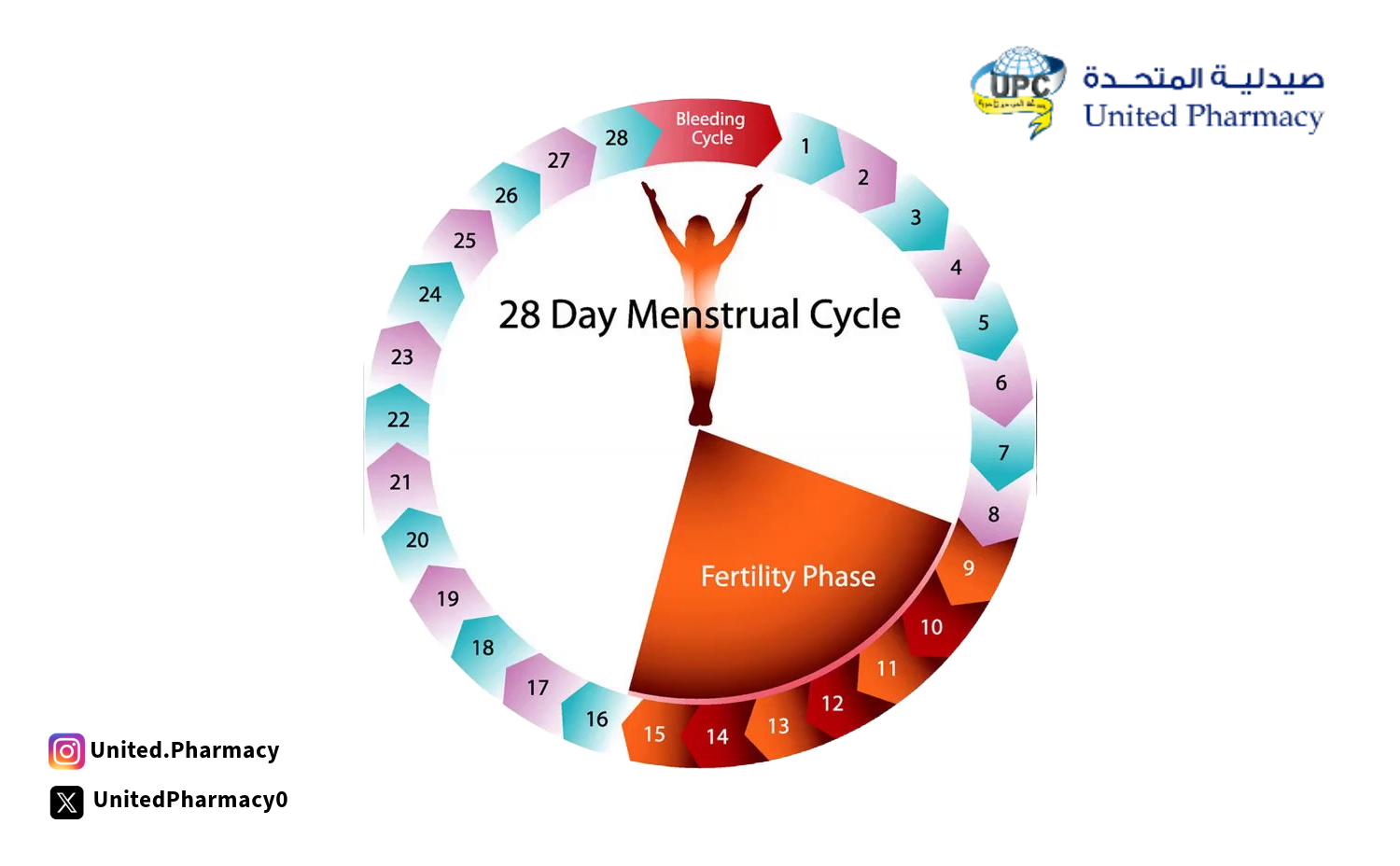 مدة تأخر الدورة الشهرية لمعرفة الحمل