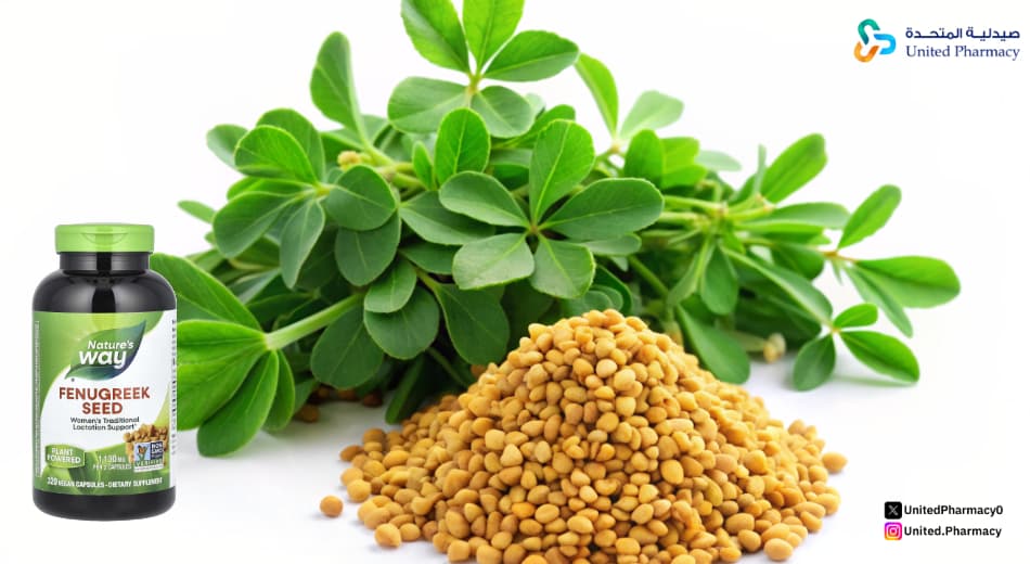 كيفية استعمال حبوب الحلبة؟ كيفية استعمال حبوب الحلبة؟