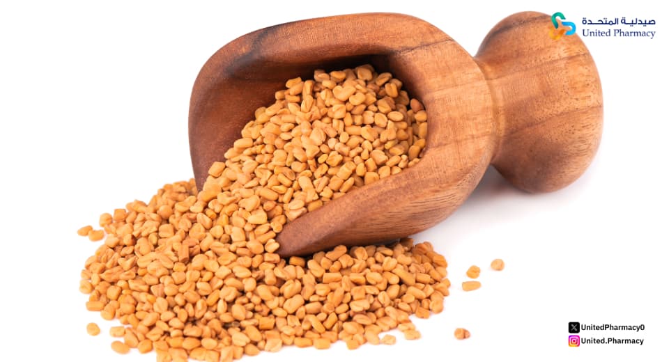 هل تناول الحلبة يوميا مضر؟ هل تناول الحلبة يوميا مضر؟